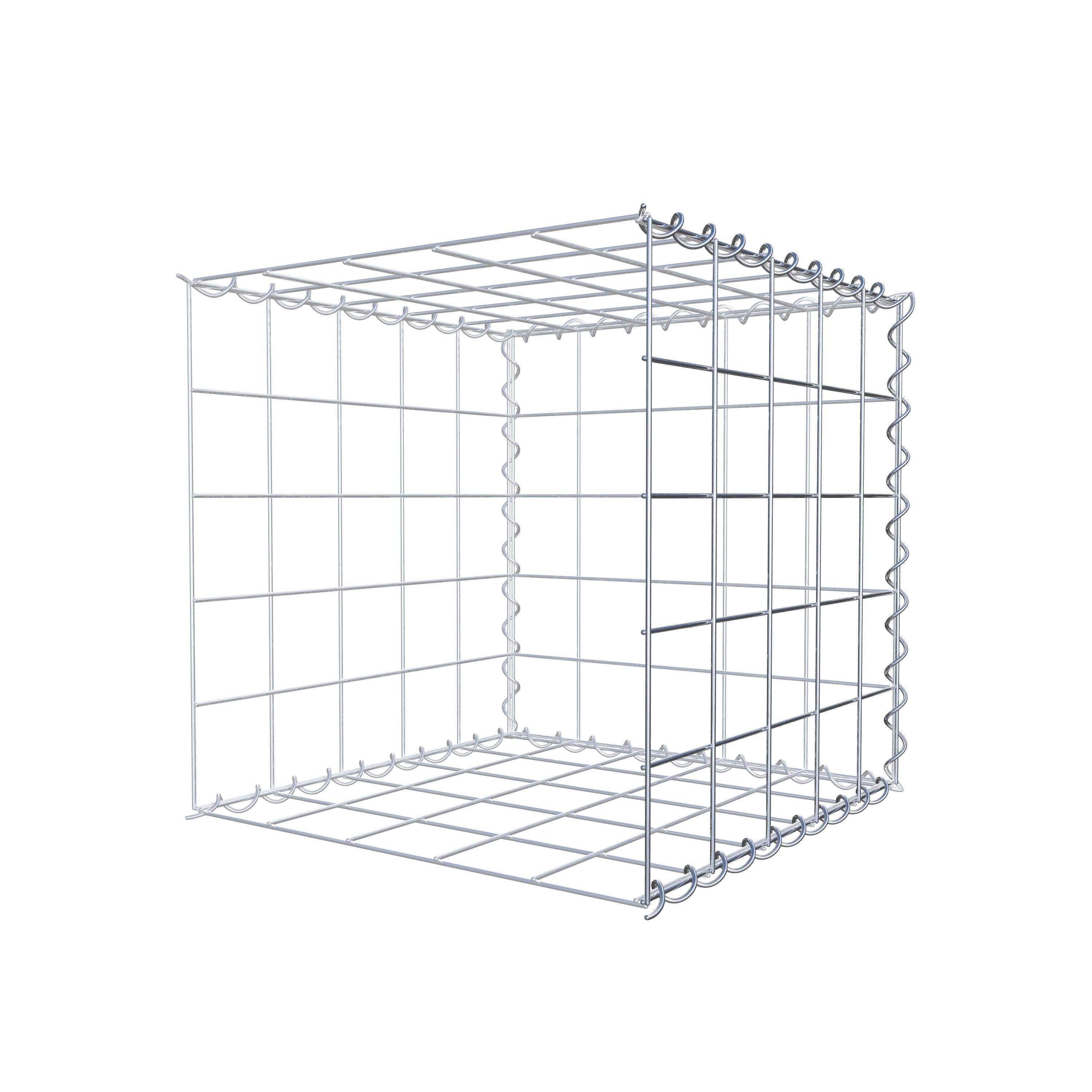 Grown-on gabion type 2 50 cm x 50 cm x 50 cm (L x H x D), mesh size 10 cm x 10 cm, spiral