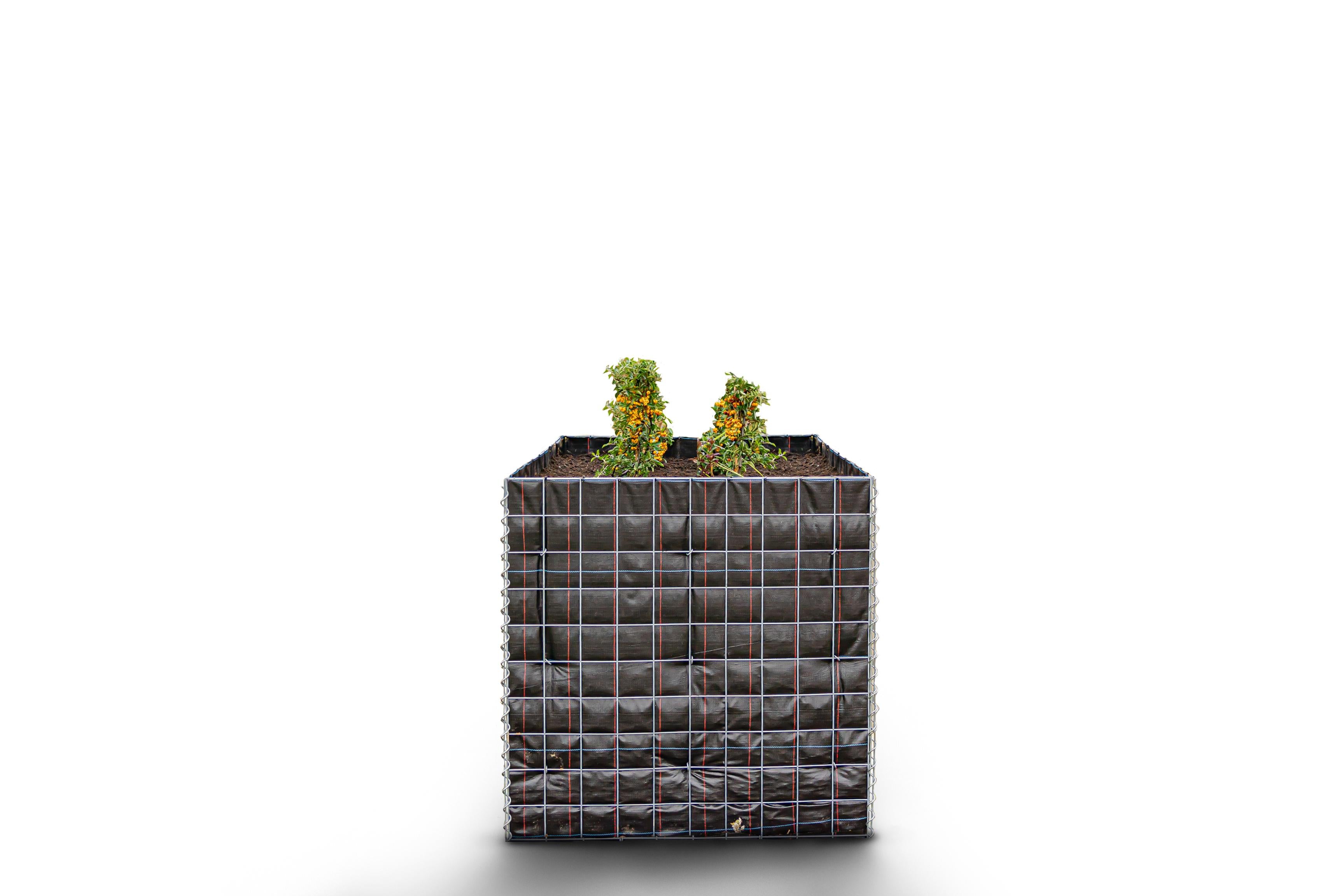 Rechthoekig verhoogd bed zonder stenen - Lengte: 100 cm - Hoogte: 100 cm - Diepte: 70 cm - Maaswijdte: 10 x 10 cm