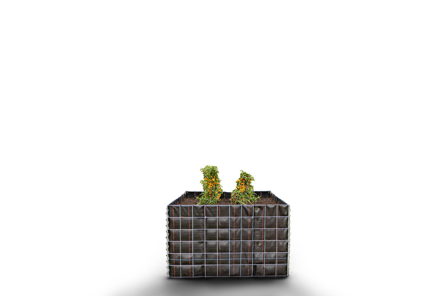 Letto rialzato rettangolare senza area in pietra - Lunghezza: 100 cm - Altezza: 60 cm - Profondità: 100 cm - Dimensioni della rete: 10 x 10 cm