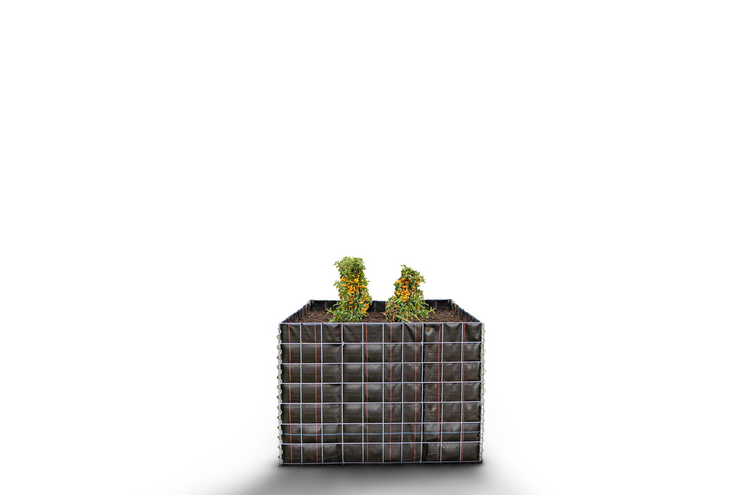 Letto rialzato rettangolare senza area in pietra - Lunghezza: 100 cm - Altezza: 70 cm - Profondità: 100 cm - Dimensione della rete: 10 x 10 cm