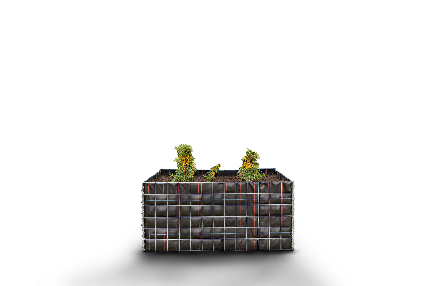 Letto rialzato rettangolare senza area in pietra - Lunghezza: 130 cm - Altezza: 60 cm - Profondità: 60 cm - Dimensioni della rete: 10 x 10 cm