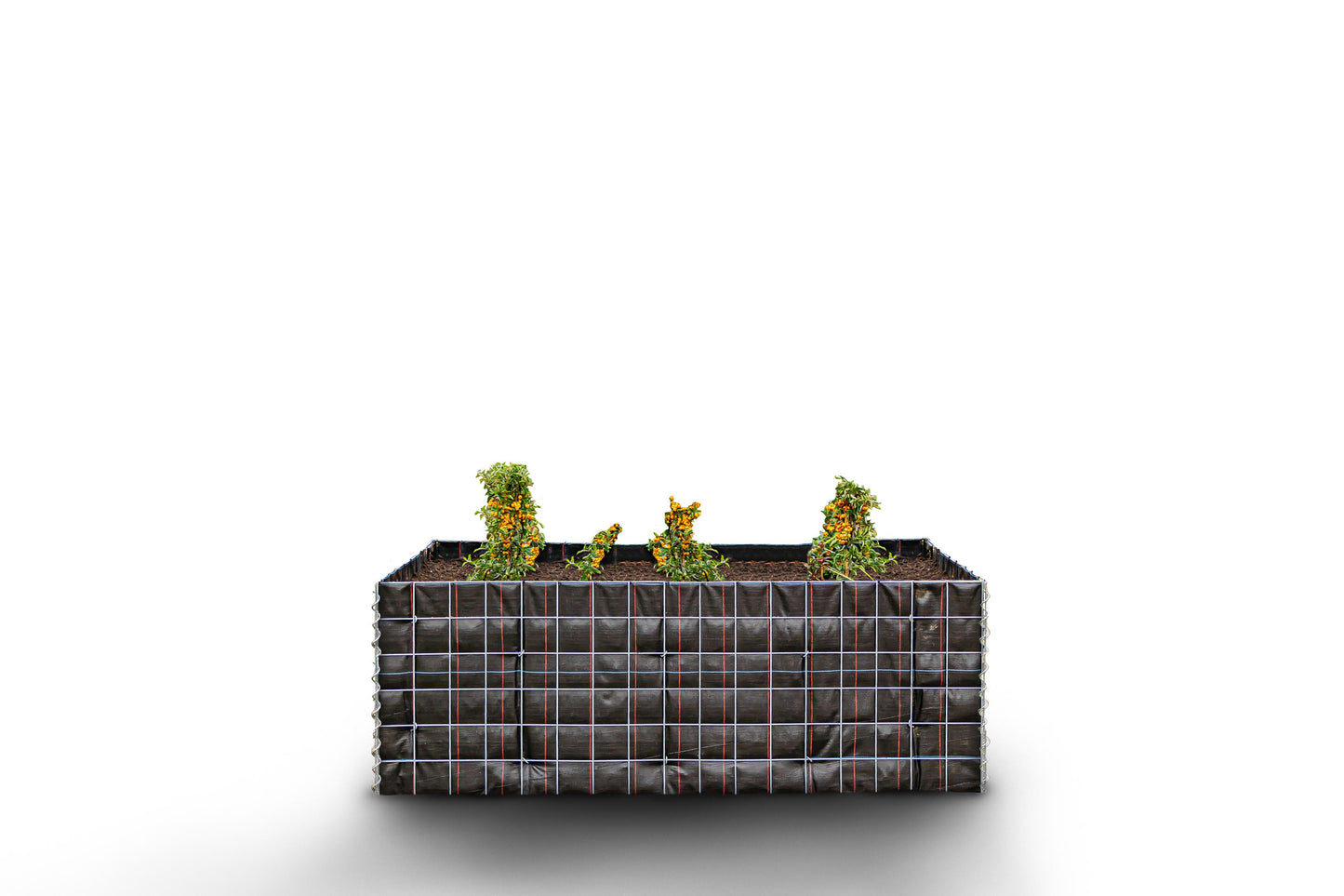 Højbed firkantet uden sten 170 cm x 60 cm x 60 cm