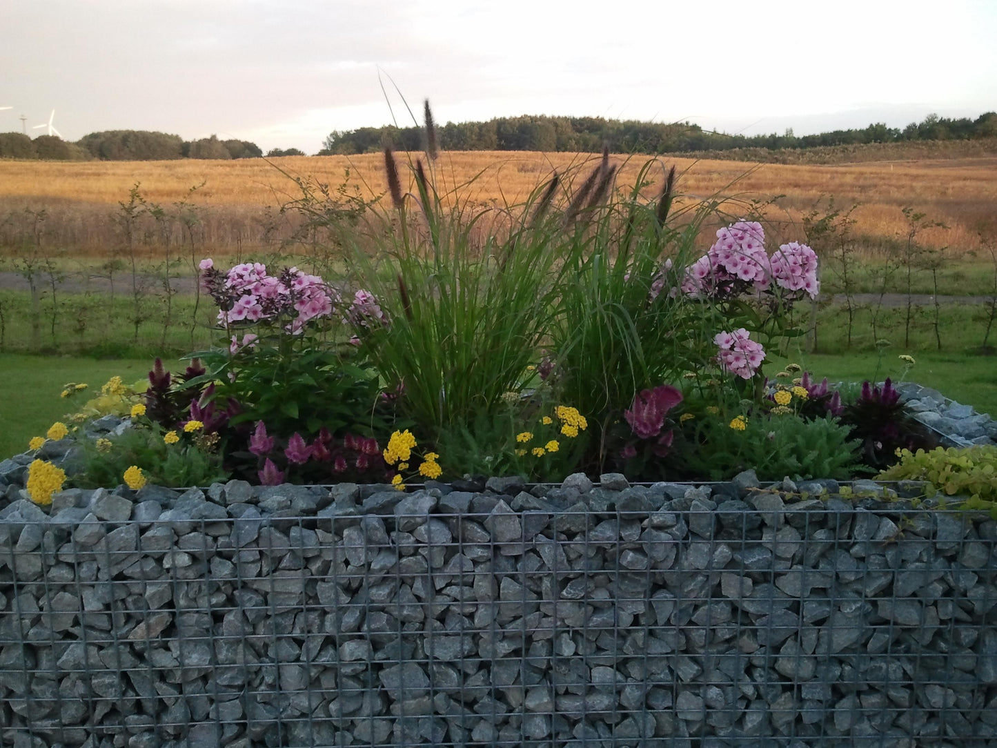 Hochbeet eckig 200 cm x 100 cm x 100 cm (L x H x T), Maschenweite 5 x 5 cm, Wandstärke 10 cm