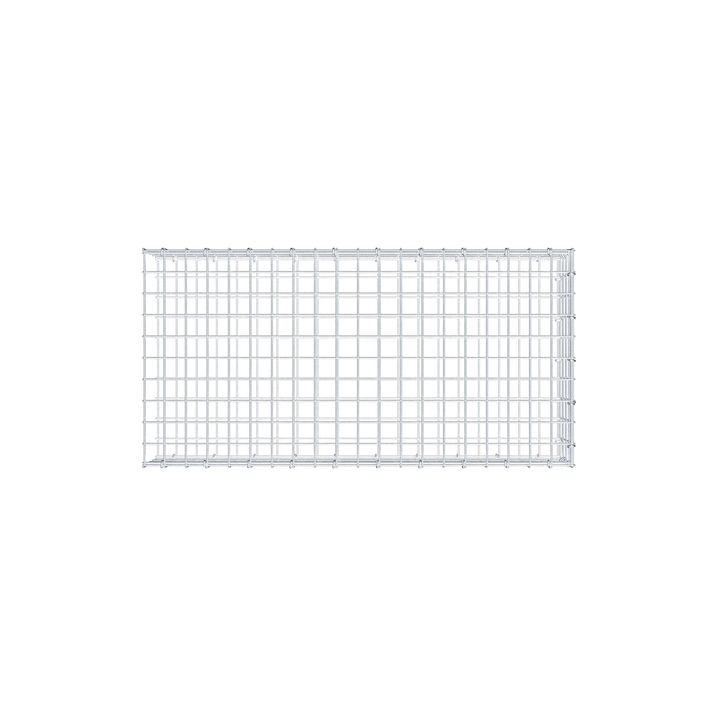 Type 2 oplegkorf 100 cm x 20 cm x 50 cm (L x H x D), maaswijdte 5 cm x 5 cm, C-ring