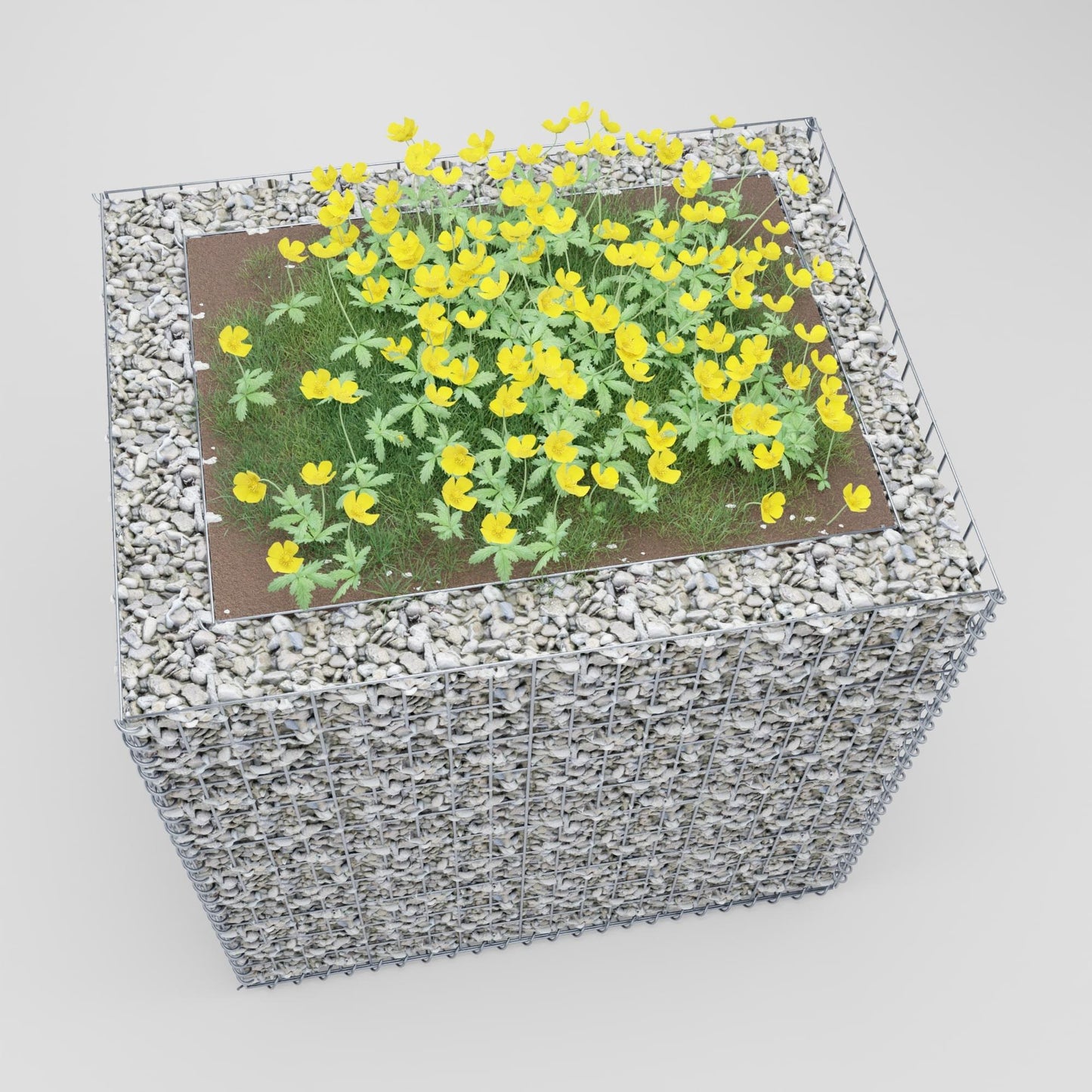 Højbed firkantet 100 cm x 100 cm x 80 cm (L x H x D), maskestørrelse 5 x 10 cm, vægtykkelse 10 cm