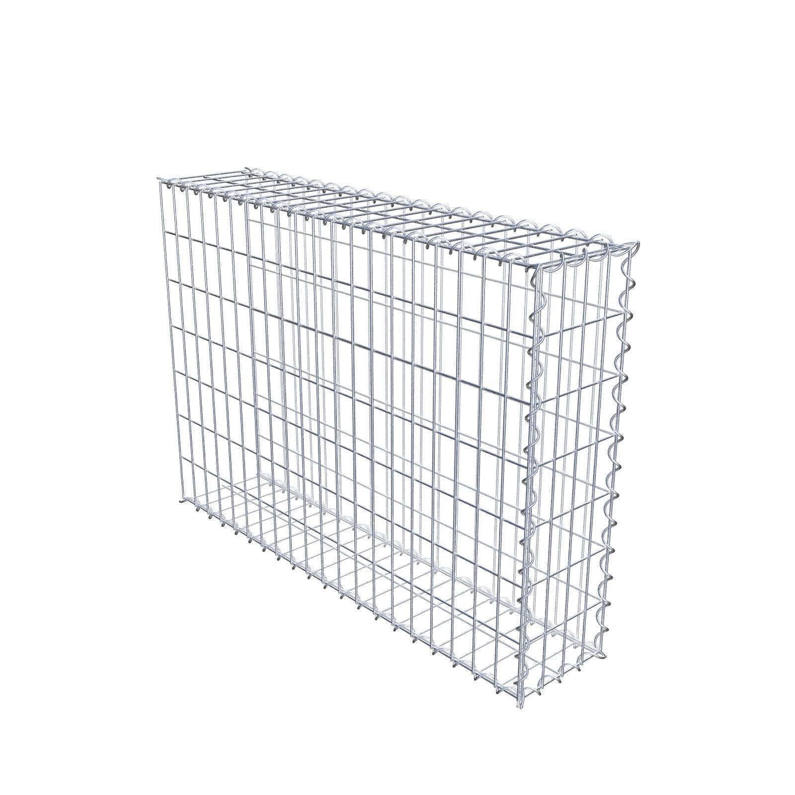 Grown-on gabion type 2 100 cm x 70 cm x 20 cm (L x H x D), mesh size 5 cm x 10 cm, spiral