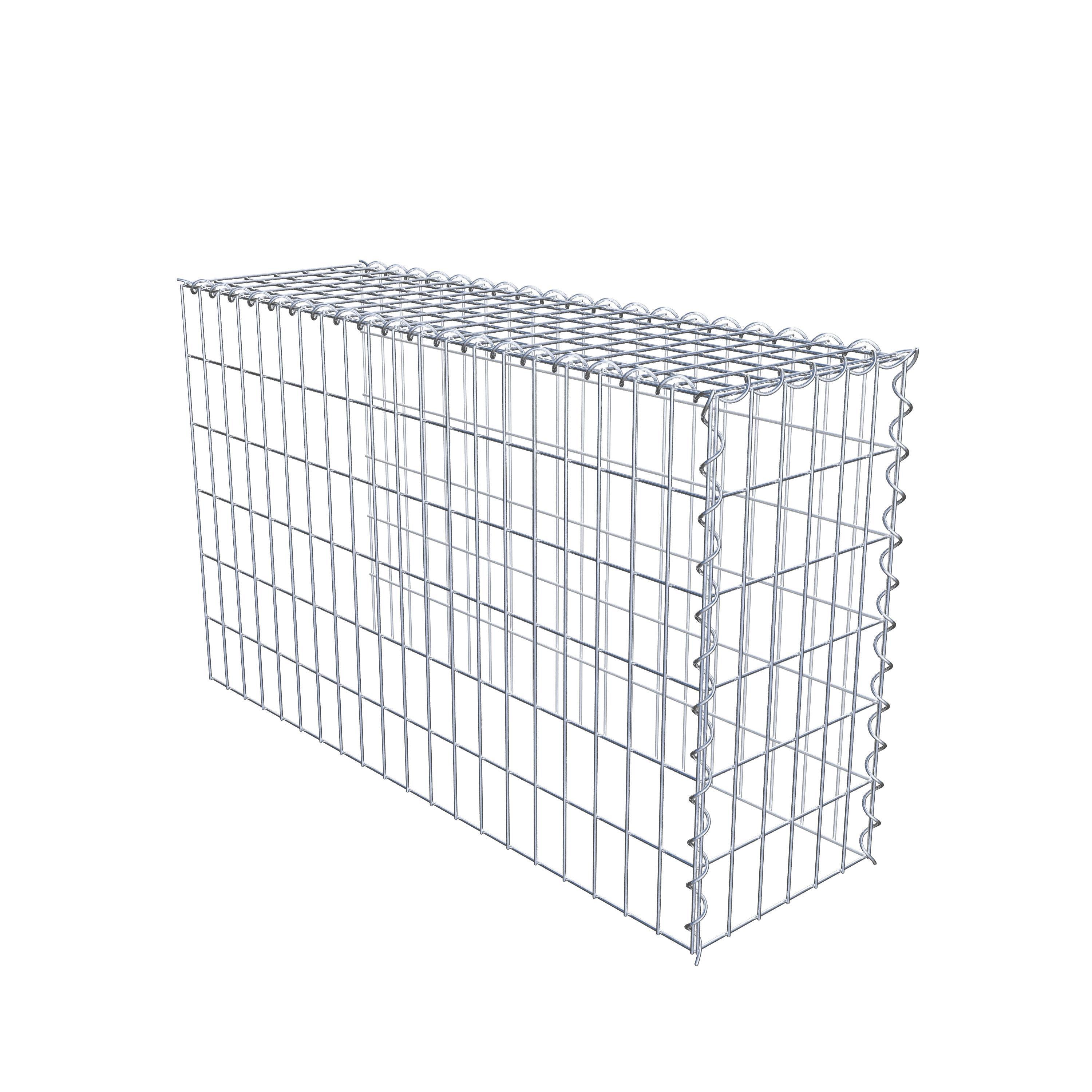 Grown-on gabion type 4 100 cm x 60 cm x 30 cm (L x H x D), mesh size 5 cm x 10 cm, spiral