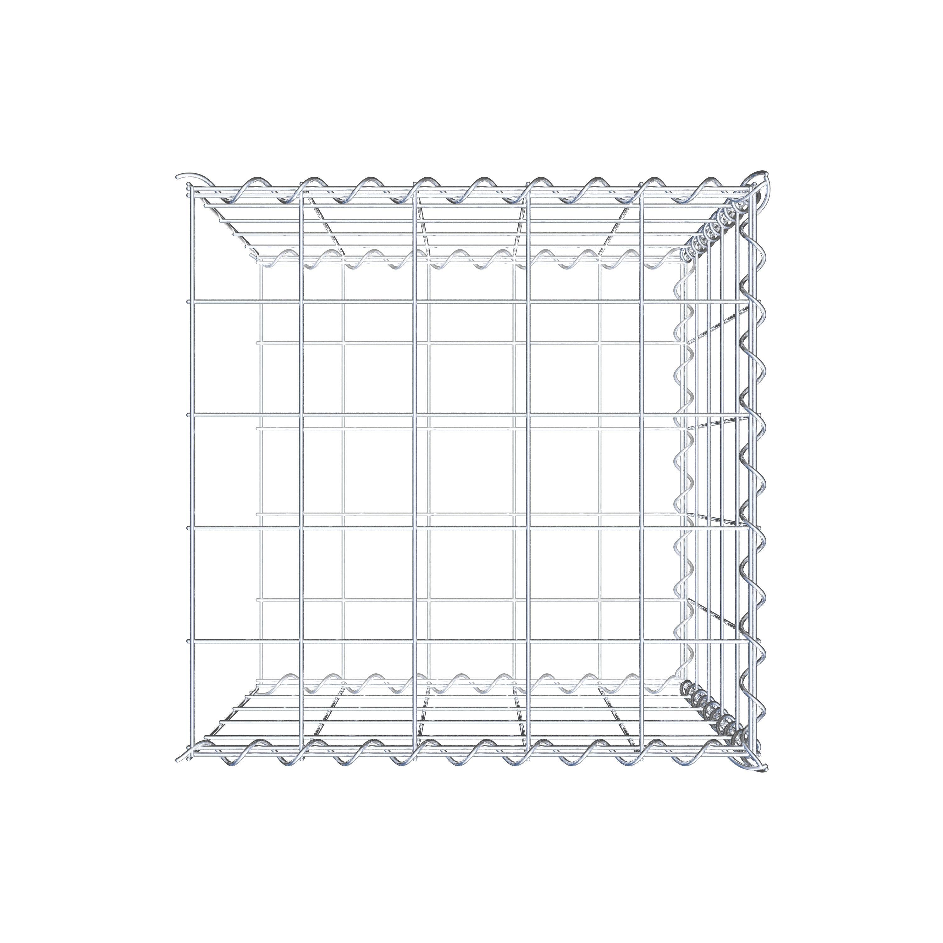 Grown-on gabion type 2 50 cm x 50 cm x 50 cm (L x H x D), mesh size 10 cm x 10 cm, spiral