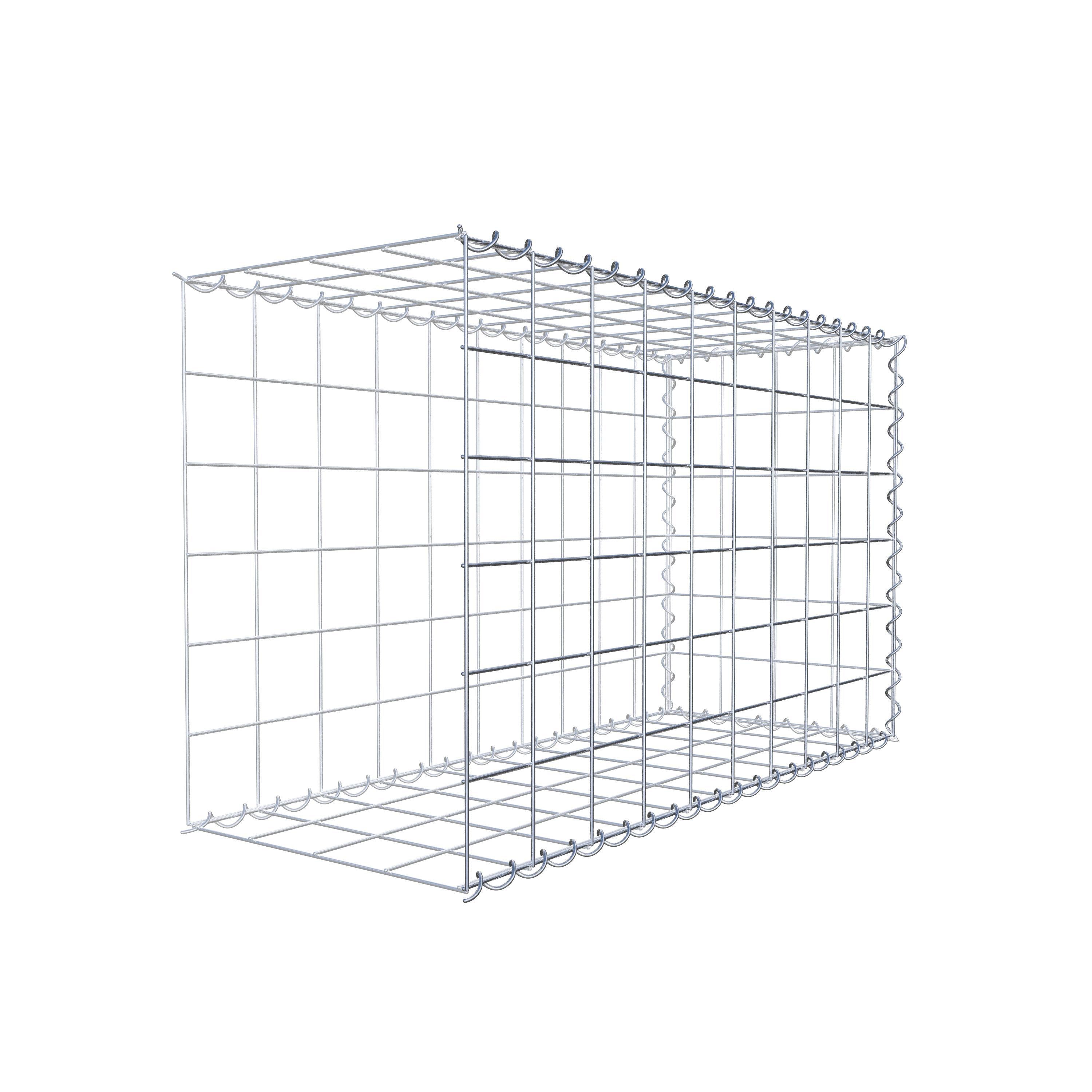 Grown-on gabion type 2 100 cm x 60 cm x 40 cm (L x H x D), mesh size 10 cm x 10 cm, spiral