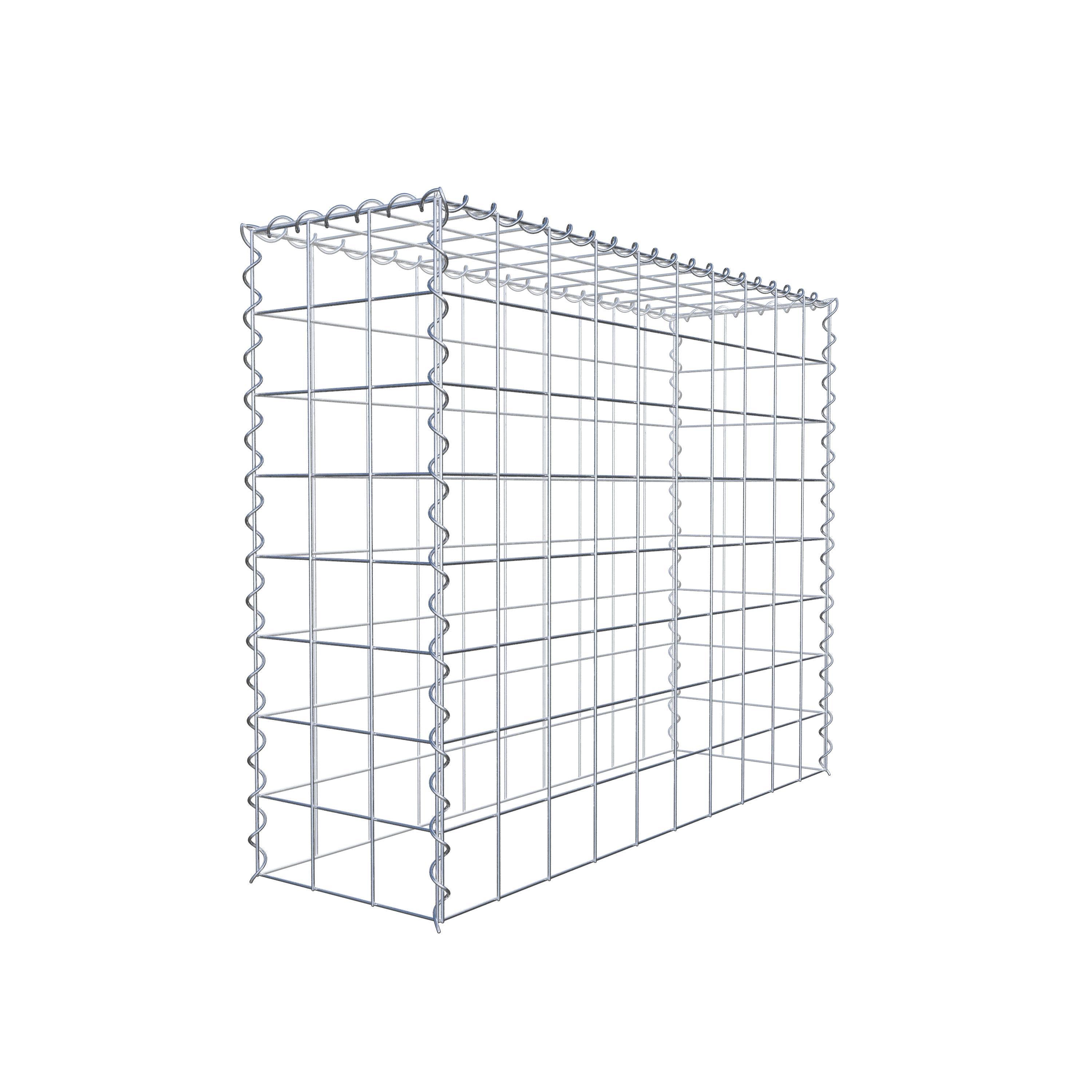 Grown-on gabion type 3 100 cm x 80 cm x 30 cm (L x H x D), mesh size 10 cm x 10 cm, spiral