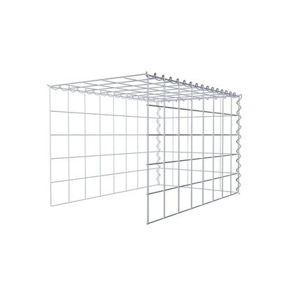 Opvokset gabion type 4 80 cm x 50 cm x 50 cm (L x H x D), maskestørrelse 10 cm x 10 cm, spiral