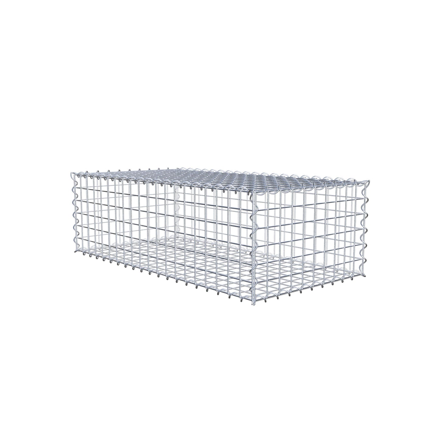 Gabion 100 cm x 30 cm x 50 cm (L x H x P), mailles 5 cm x 5 cm, spirale