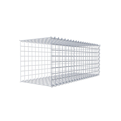 Grown-on gabion type 2 100 cm x 40 cm x 40 cm (L x H x D), mesh size 5 cm x 5 cm, spiral