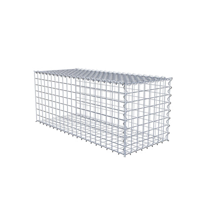 Grown-on gabion type 2 100 cm x 40 cm x 40 cm (L x H x D), mesh size 5 cm x 5 cm, spiral