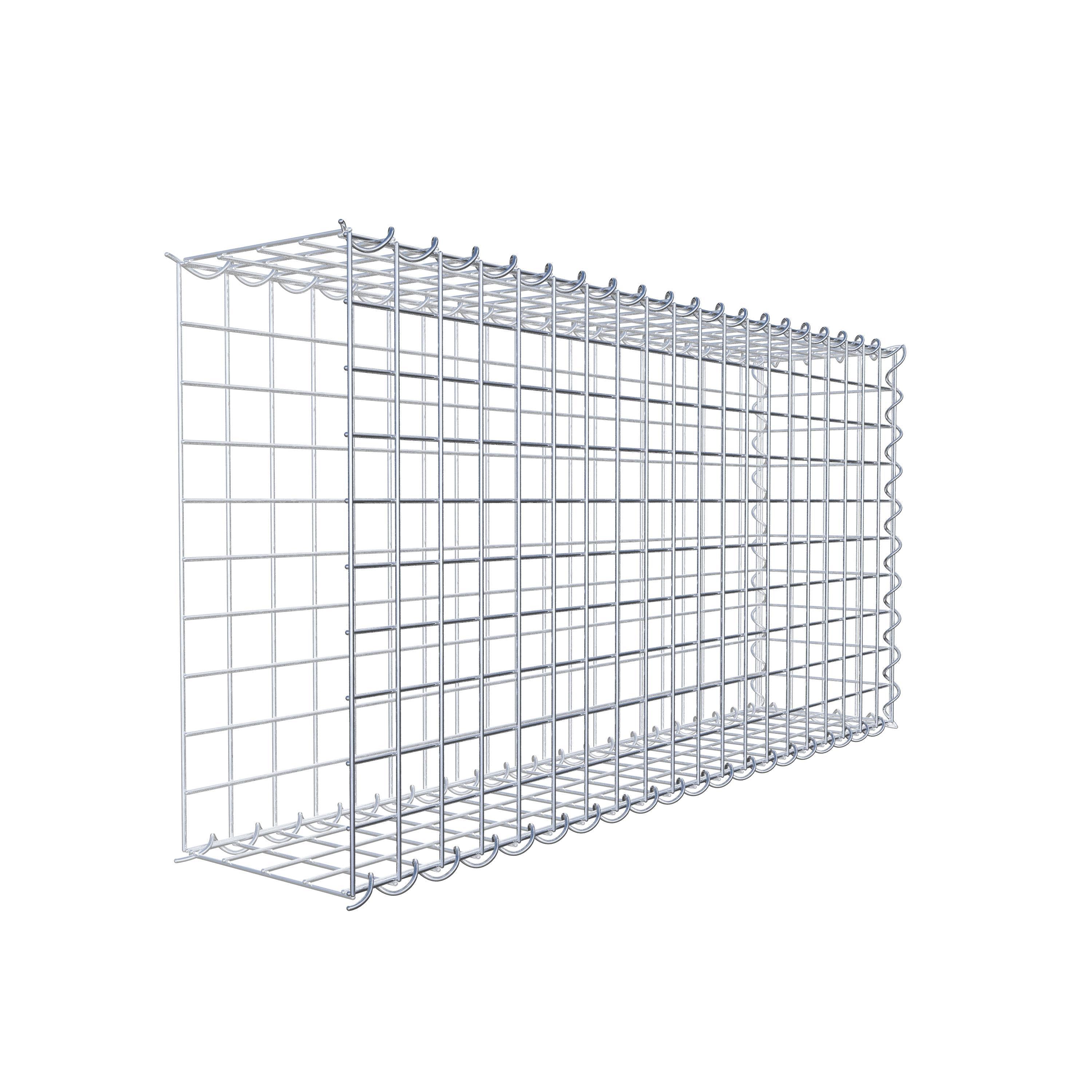 Grown-on gabion type 2 100 cm x 50 cm x 20 cm (L x H x D), mesh size 5 cm x 5 cm, spiral