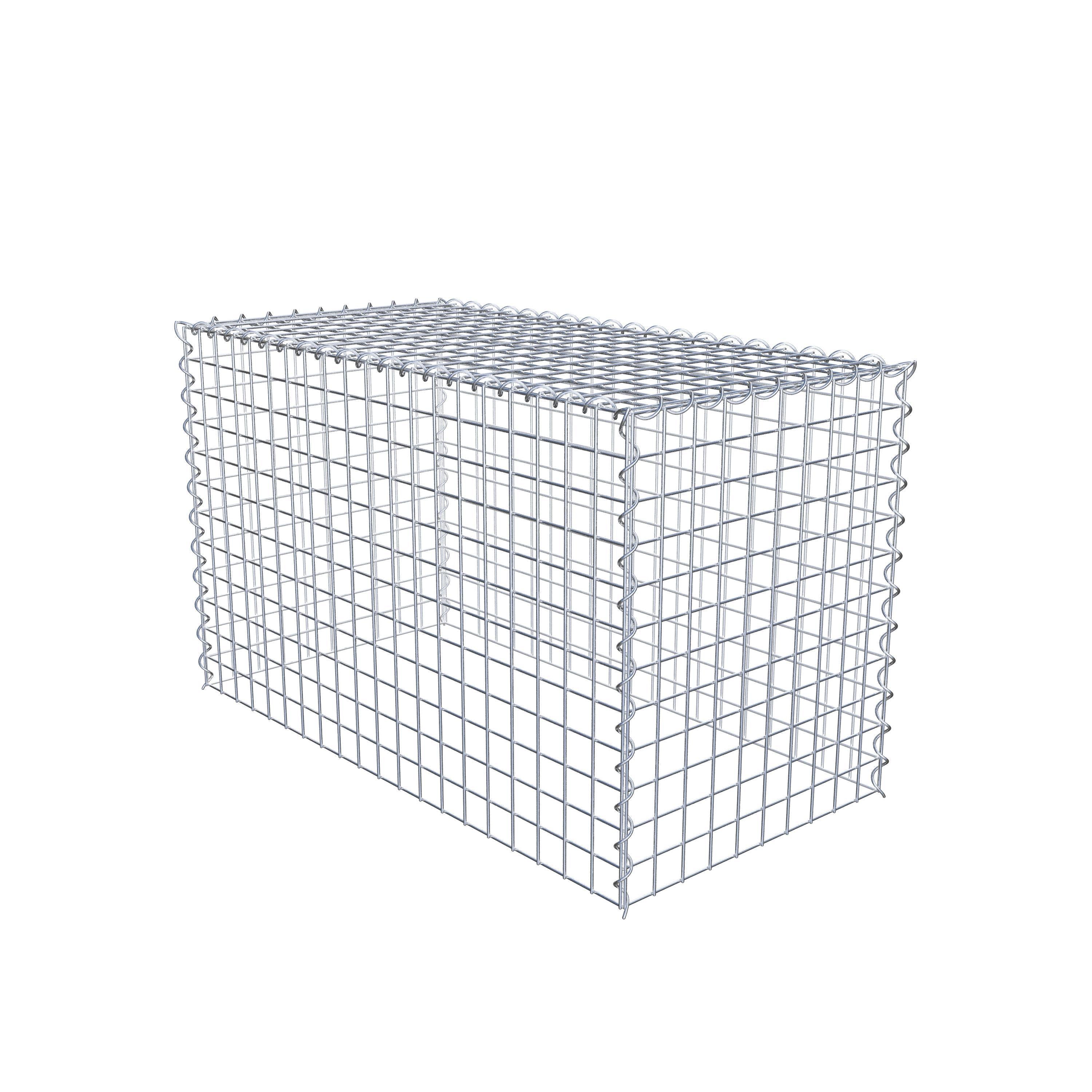 Grown-on gabion type 3 100 cm x 60 cm x 50 cm (L x H x D), mesh size 5 cm x 5 cm, spiral