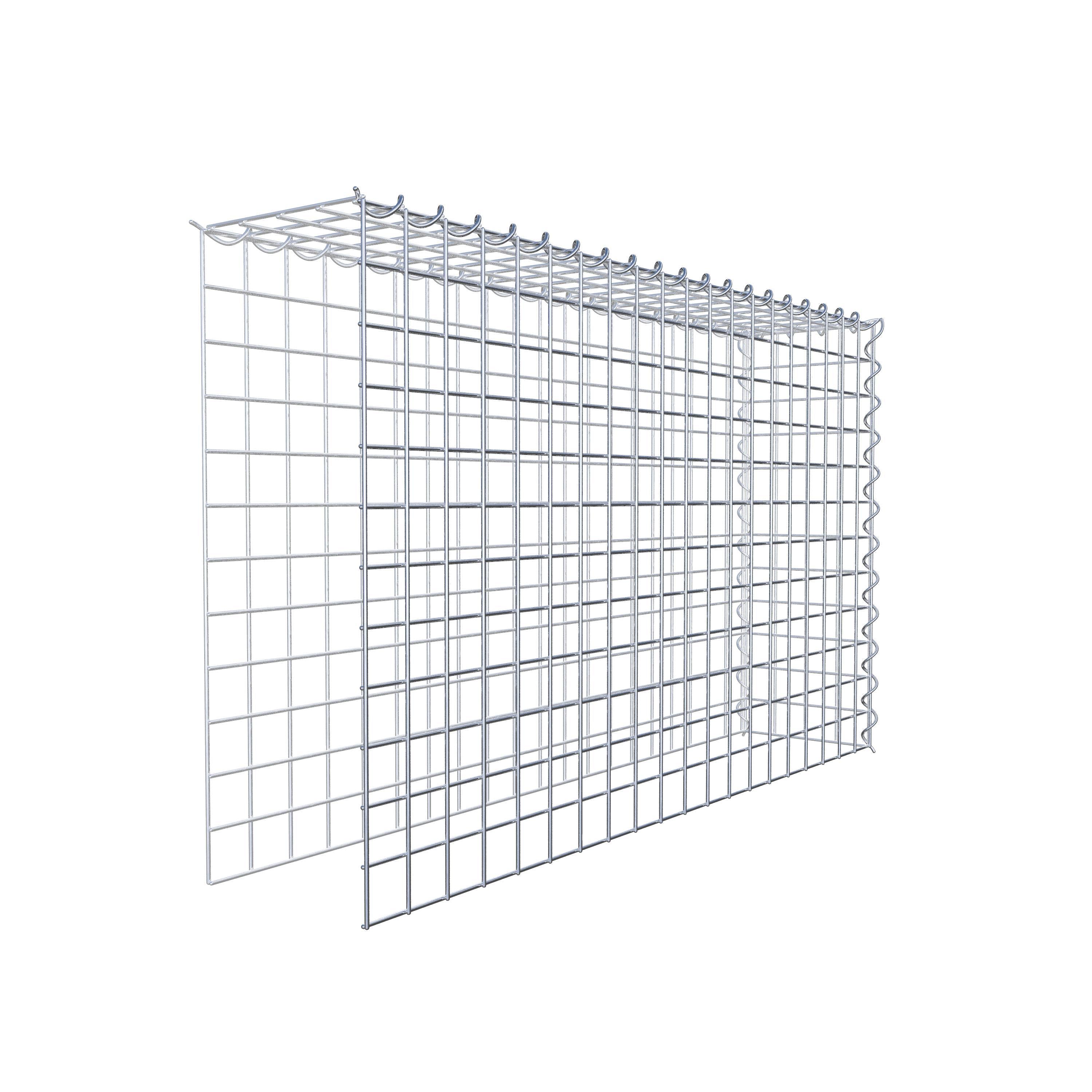 Opvokset gabion type 4 100 cm x 60 cm x 20 cm (L x H x D), maskestørrelse 5 cm x 5 cm, spiral