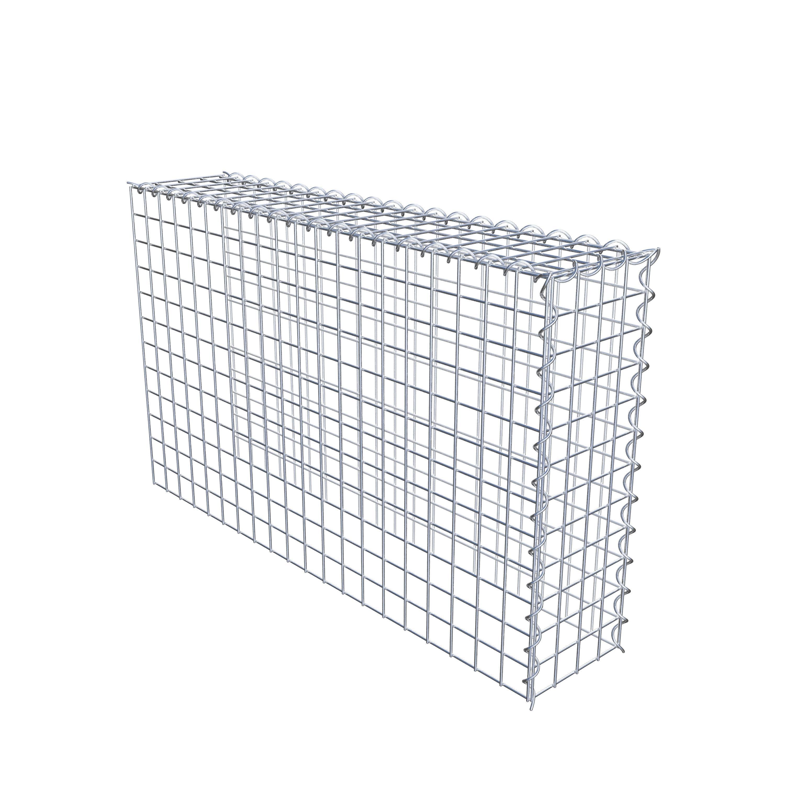 Opvokset gabion type 4 100 cm x 60 cm x 20 cm (L x H x D), maskestørrelse 5 cm x 5 cm, spiral