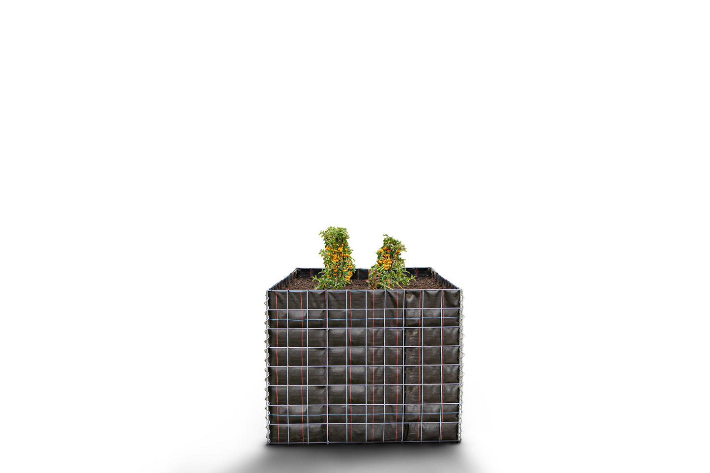 Højbed firkantet uden sten 100 cm x 80 cm x 100 cm