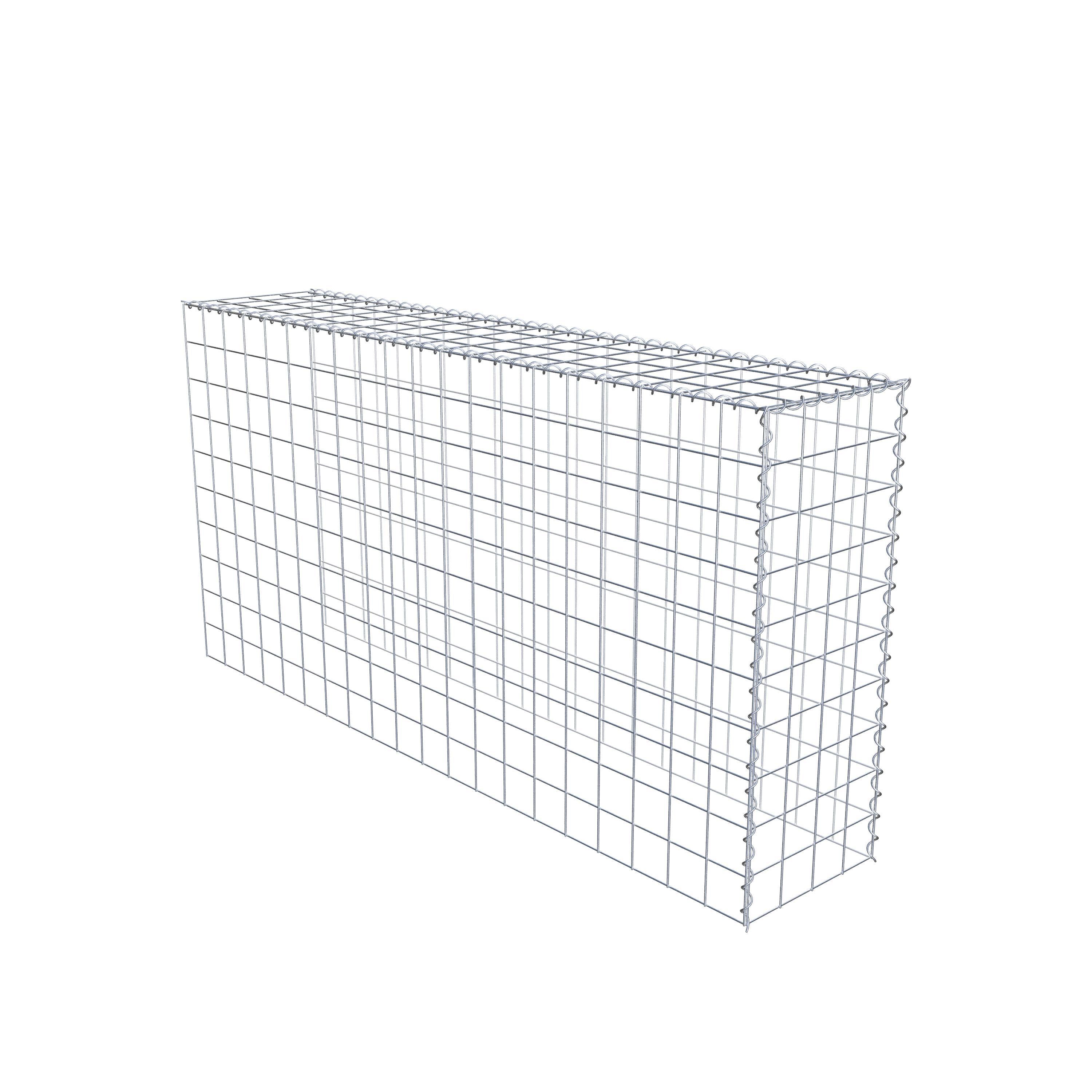 Opvokset gabion type 4 200 cm x 100 cm x 40 cm (L x H x D), maskestørrelse 10 cm x 10 cm, spiral