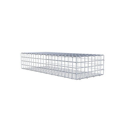 Anbaugabione Typ 2 100 cm x 20 cm x 40 cm (L x H x T), Maschenweite 5 cm x 5 cm, C-Ring