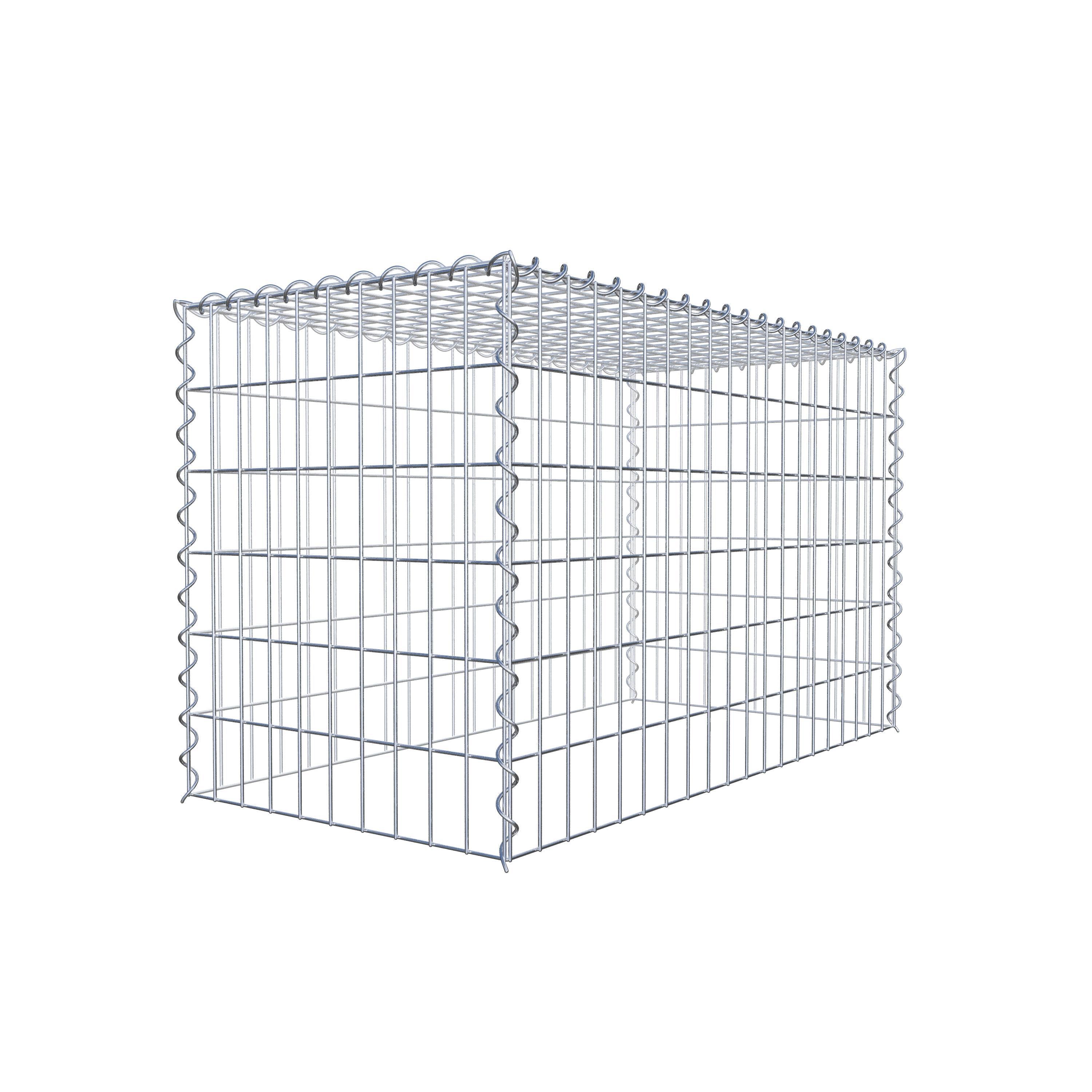 Grown-on gabion type 3 100 cm x 60 cm x 50 cm (L x H x D), mesh size 5 cm x 10 cm, spiral