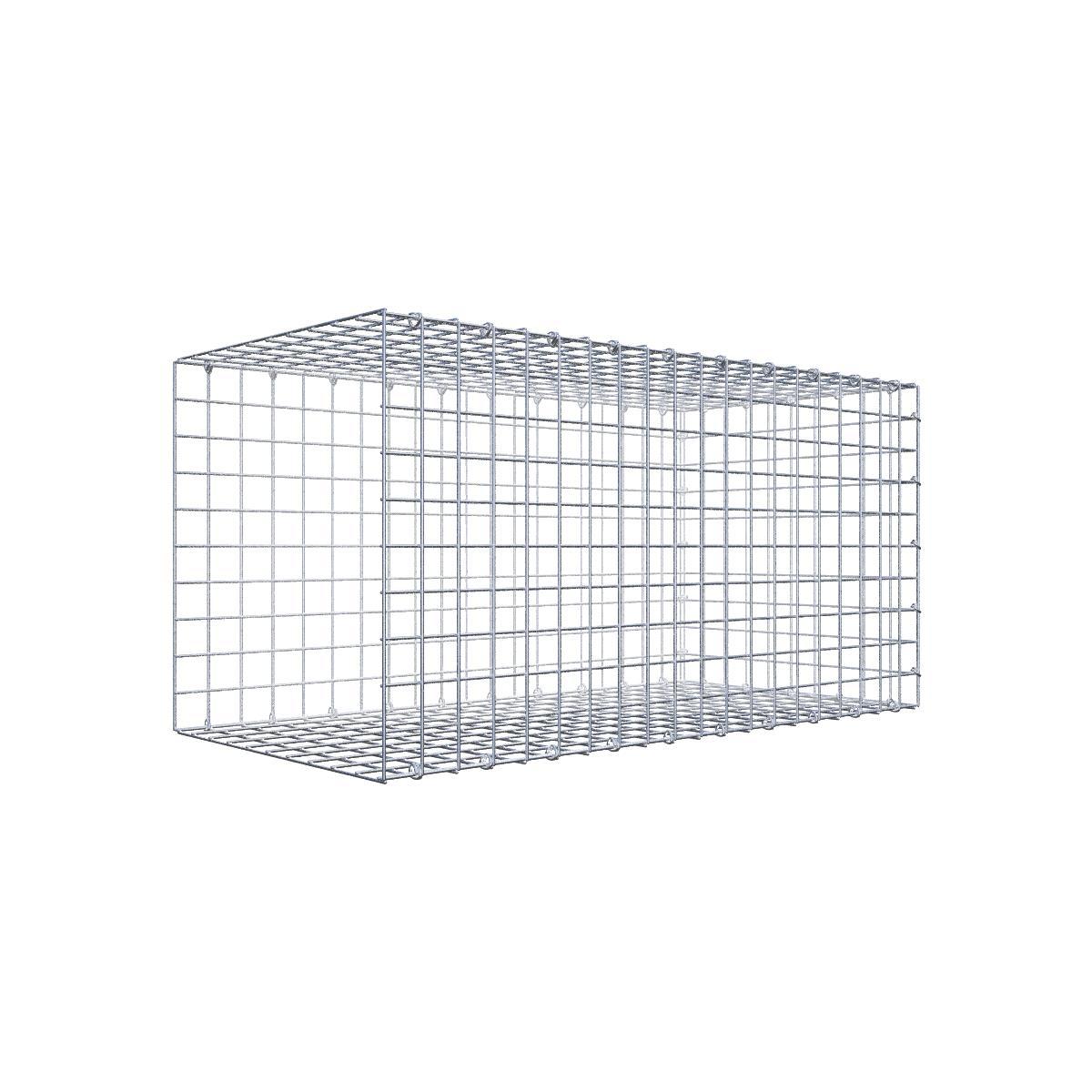 Gabione 05x05 100x050x050 Typ2 C-Ring