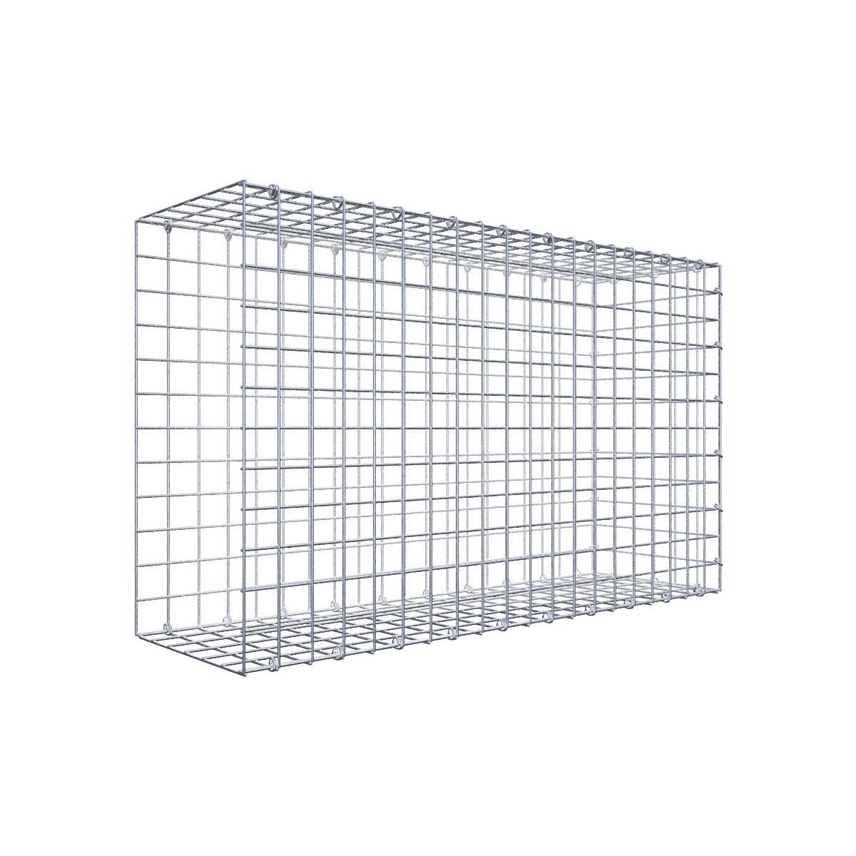 Gabione 05x05 100x060x030 Typ2 C-Ring