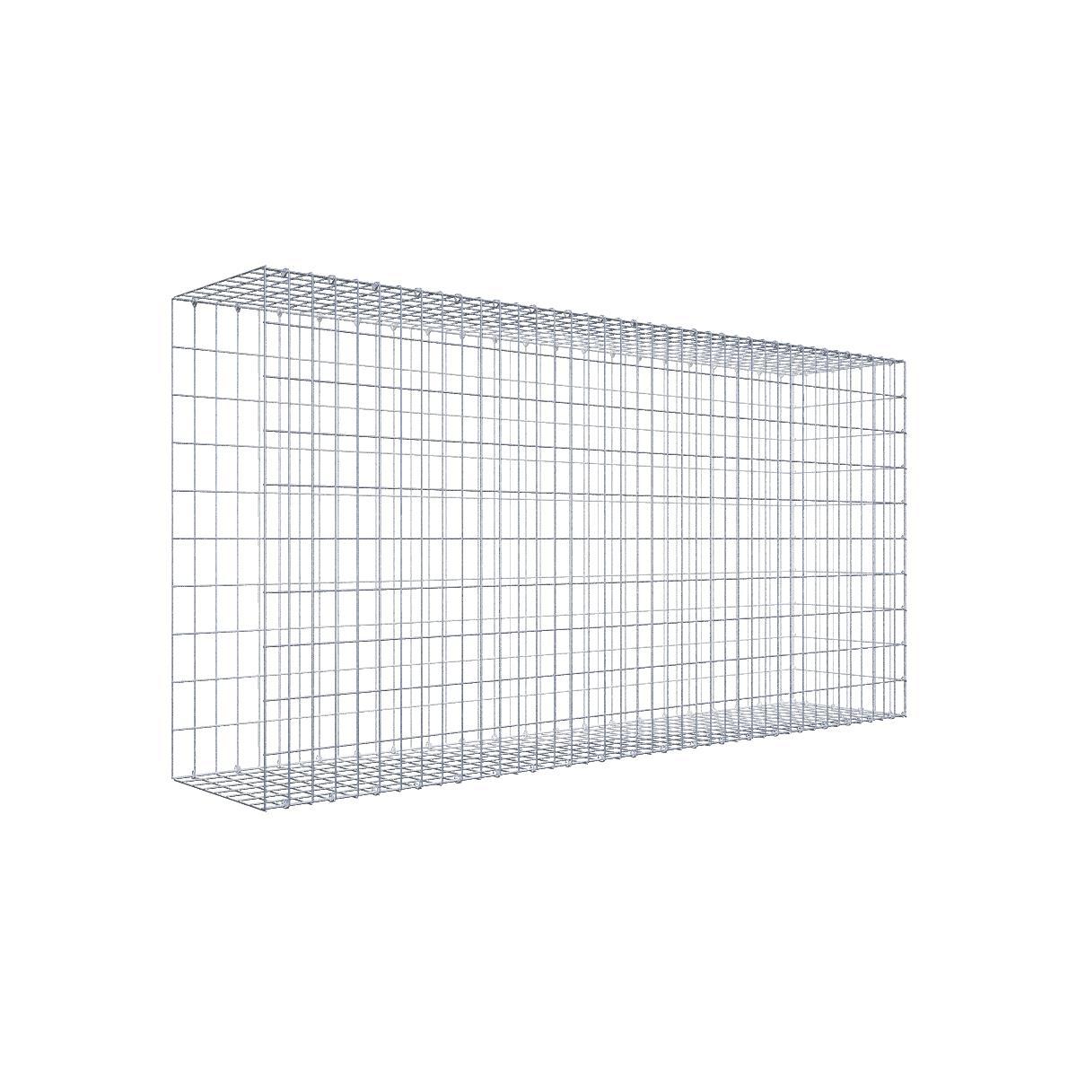 Gabione 05x10 200x100x040 Typ2 C-Ring