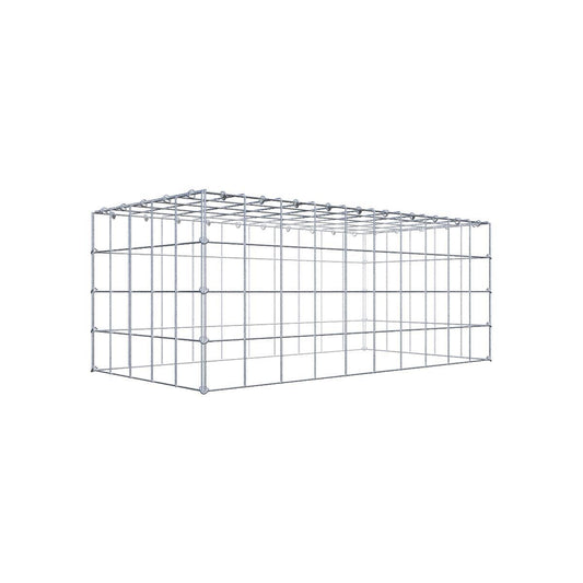 Gabione 10x10 100x040x050 Typ3 C-Ring