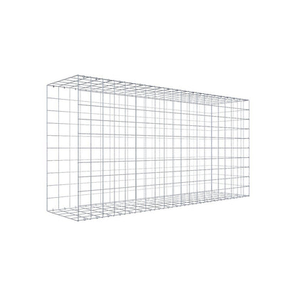 Gabione 10x10 200x100x050 Typ2 C-Ring