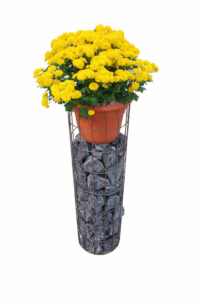 Blumensäule - 80 cm hoch - Ø 24 cm - rostige Patina Maschenweite 5 x 10 cm - inkl. Blumentopf