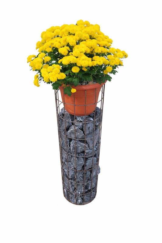 Blumensäule - 80 cm hoch - Ø 24 cm - rostige Patina Maschenweite 5 x 10 cm - inkl. Blumentopf