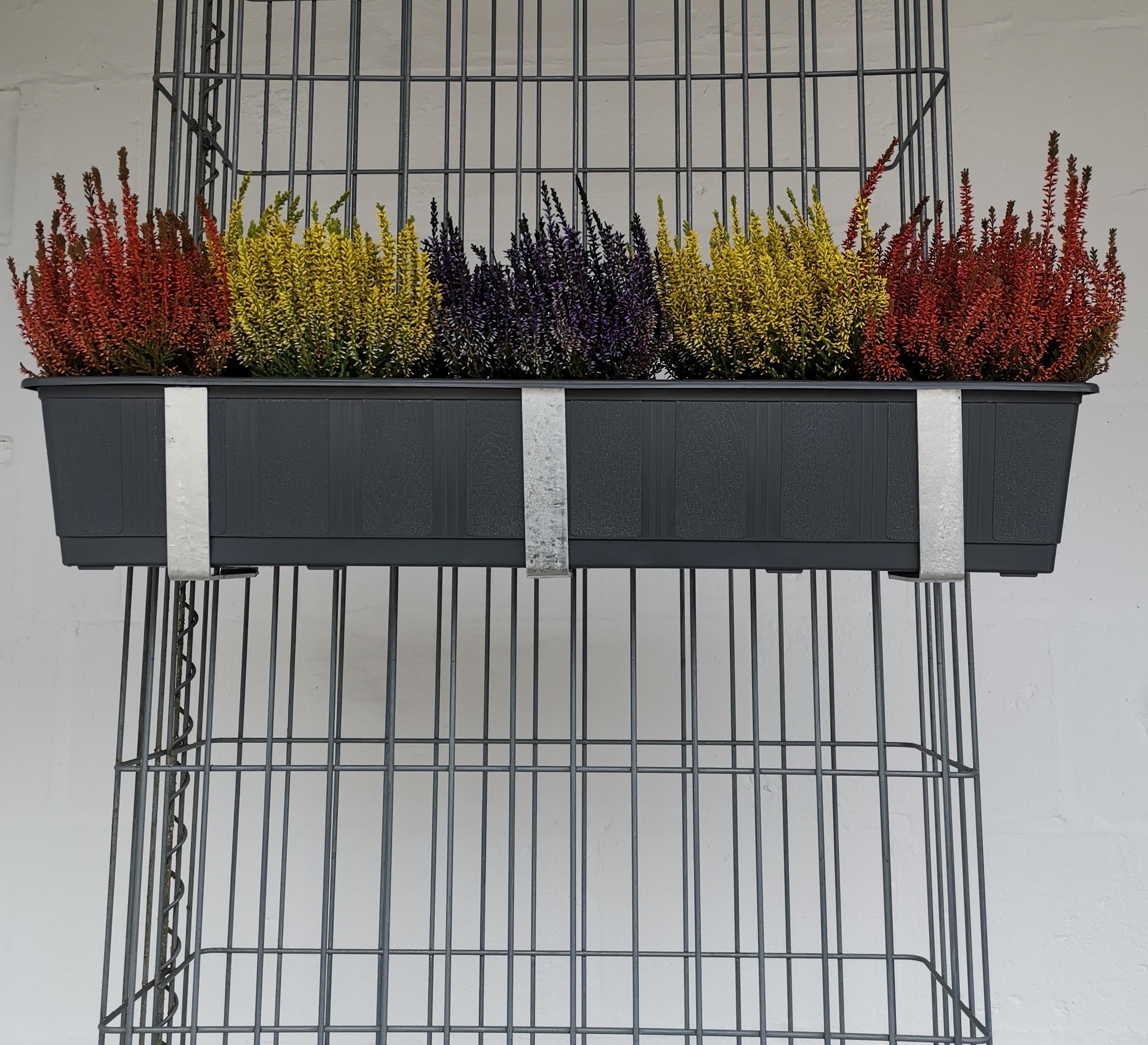Galvanized flower box holder in a set of 3 including flower pot, for gabions MW 5 x 20