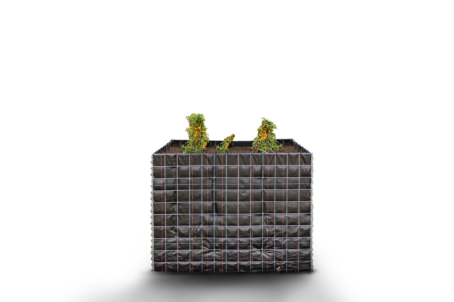 Letto rialzato rettangolare senza area in pietra - Lunghezza: 130 cm - Altezza: 100 cm - Profondità: 60 cm - Dimensione rete: 10 x 10 cm