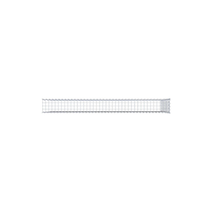Grown-on gabion type 4 200 cm x 100 cm x 20 cm (L x H x D), mesh size 5 cm x 5 cm, spiral