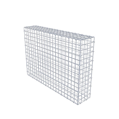 Gabbione 100 cm x 70 cm x 20 cm (L x H x P), maglia 5 x 5 cm, anello a spirale