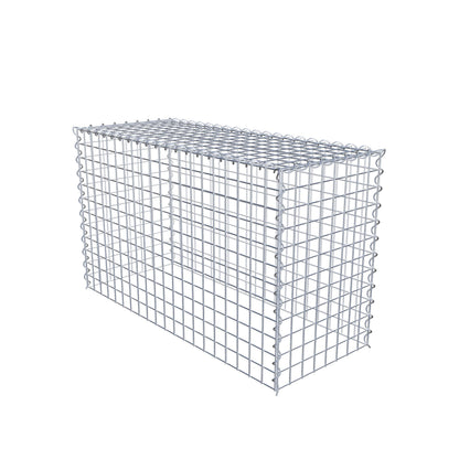 Grown-on gabion type 3 100 cm x 60 cm x 40 cm (L x H x D), mesh size 5 cm x 5 cm, spiral