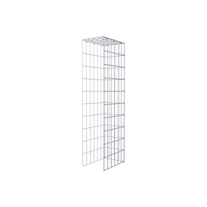 Anbaugabione Typ 4 100 cm x 30 cm x 20 cm (L x H x T), Maschenweite 5 cm x 10 cm, C-Ring