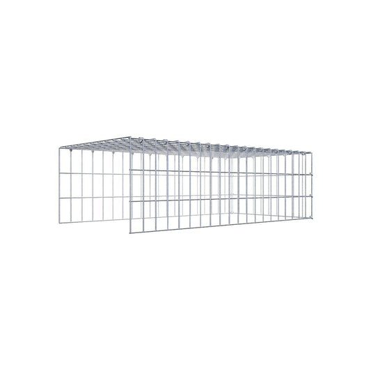 Gabione 05x10 100x030x050 Typ4 C-Ring