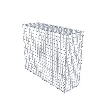 Grown-on gabion type 2 100 cm x 80 cm x 30 cm (L x H x D), mesh size 5 cm x 5 cm, spiral