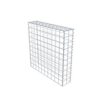 Grown-on gabion type 3 100 cm x 100 cm x 20 cm (L x H x D), mesh size 10 cm x 10 cm, spiral