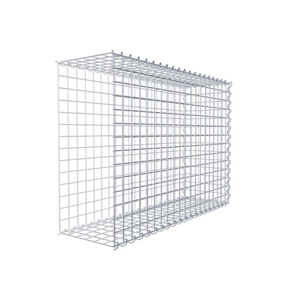 Grown-on gabion type 2 100 cm x 70 cm x 30 cm (L x H x D), mesh size 5 cm x 5 cm, spiral