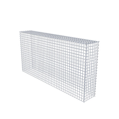 Anbaugabione Typ 3 200 cm x 100 cm x 30 cm (L x H x T), Maschenweite 5 cm x 5 cm, Spirale