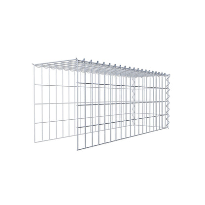 Grown-on gabion type 4 100 cm x 40 cm x 30 cm (L x H x D), mesh size 5 cm x 10 cm, spiral