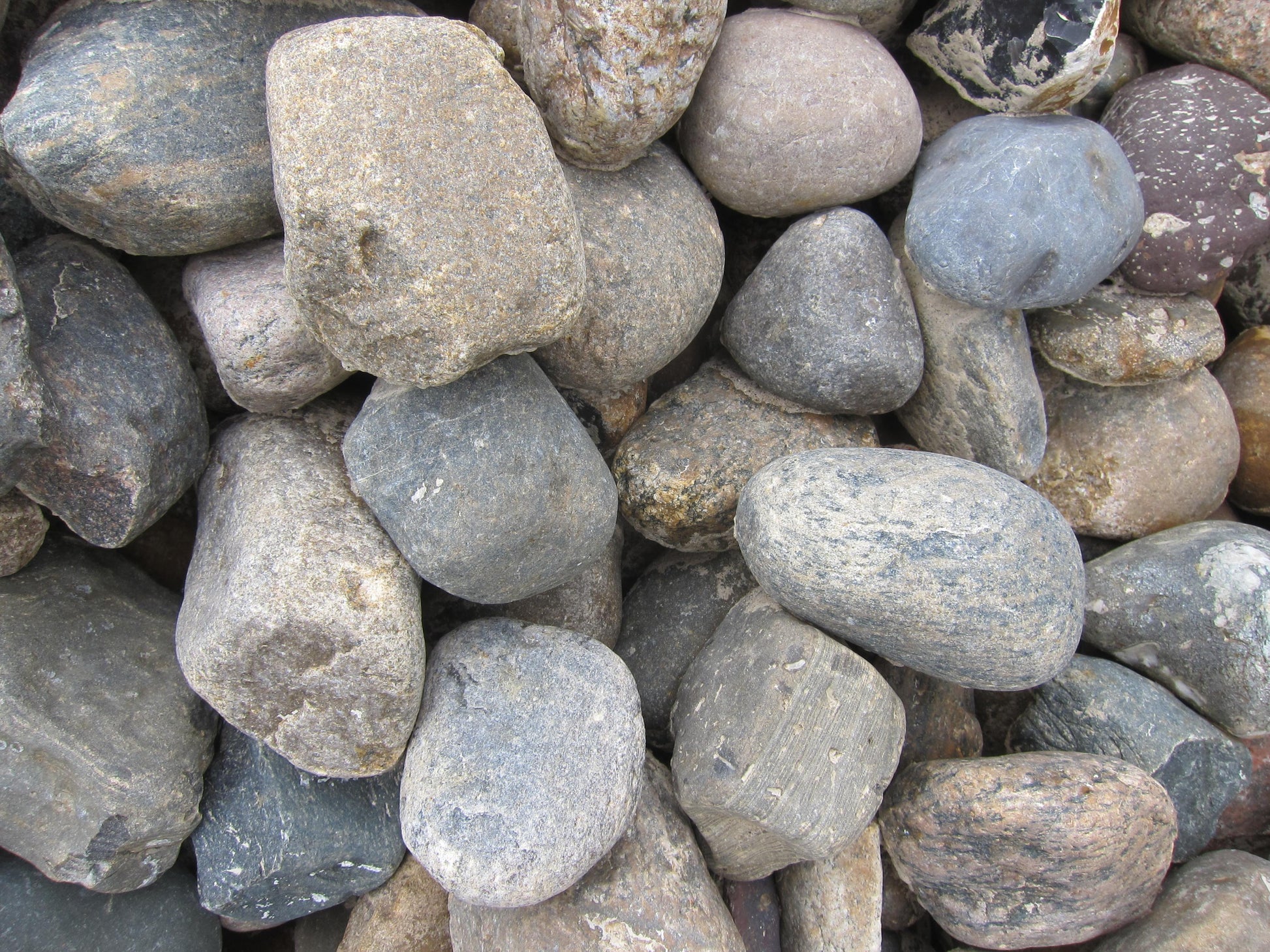 seeotter kieselstein aufbewahren Nordseekiesel 60 bis 80 mm – GABIONA