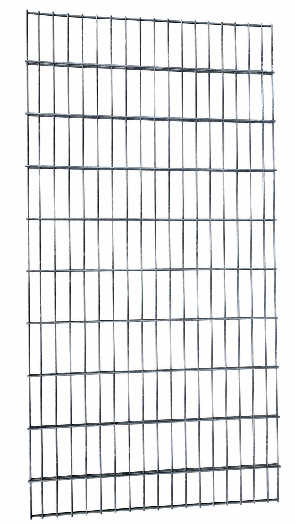Doppelstabmatte 200 x 100 cm, 6 mm | Verzinkung Galfan |Zaun und Rankgitter