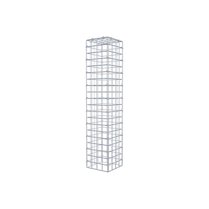 Gabbione aggiuntivo tipo 3 100 cm x 20 cm x 20 cm (L x A x P), maglia 5 cm x 5 cm, anello a C