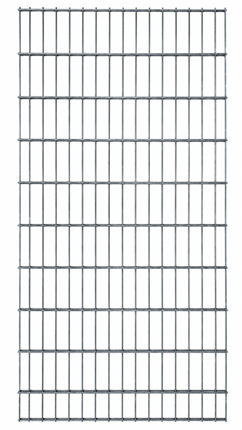 Doppelstabmatte 200 x 100 cm, 6 mm | Verzinkung Galfan |Zaun und Rankgitter