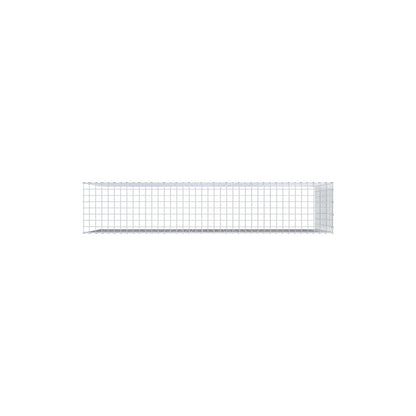 Anbaugabione Typ 4 200 cm x 100 cm x 40 cm (L x H x T), Maschenweite 5 cm x 5 cm, C-Ring
